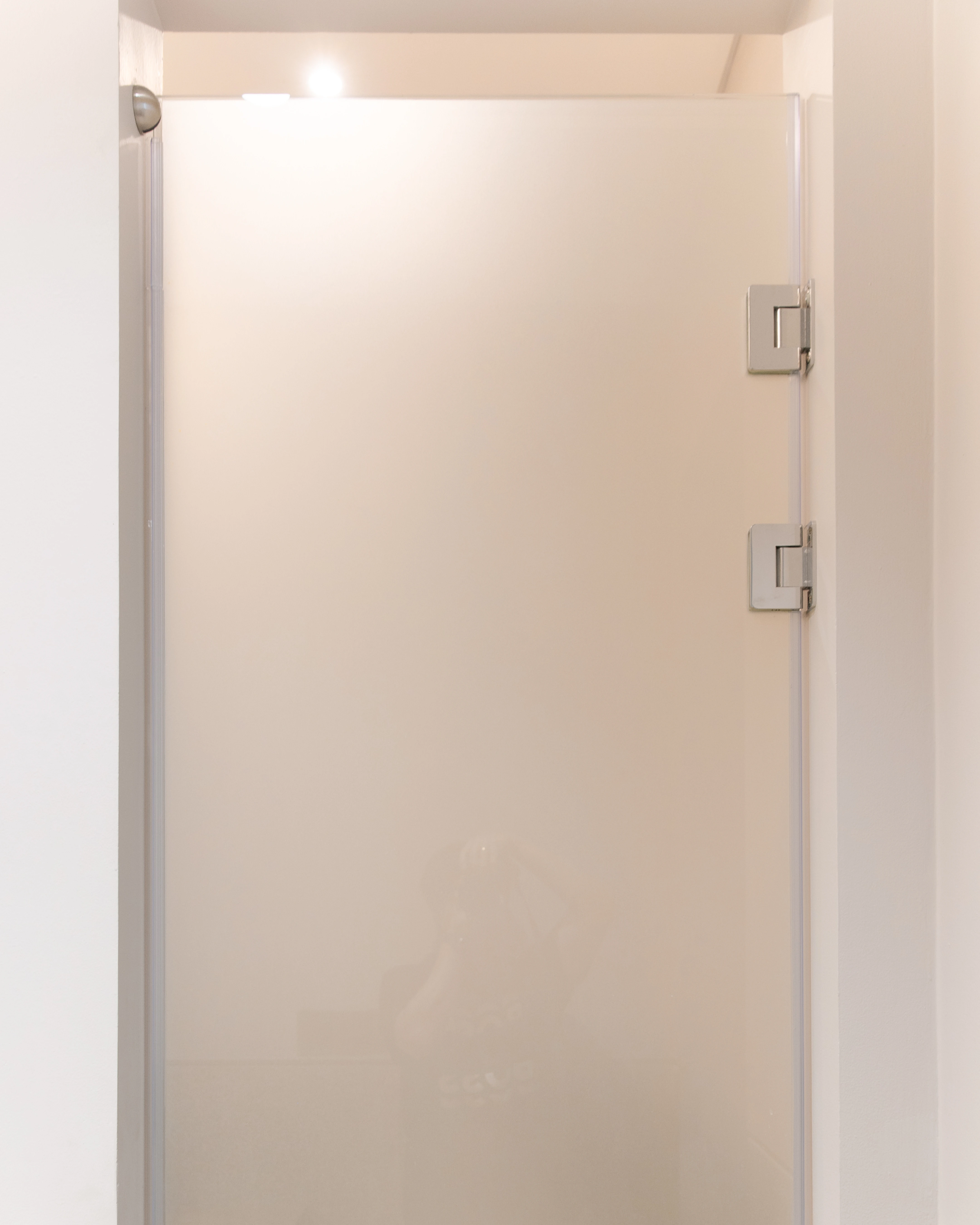Tempered Glass Frameless Door